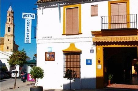 Hostal El Caballo Blanco Osuna Exterior foto